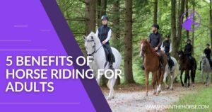 Read more about the article 5 Benefits of Horse Riding for Adults