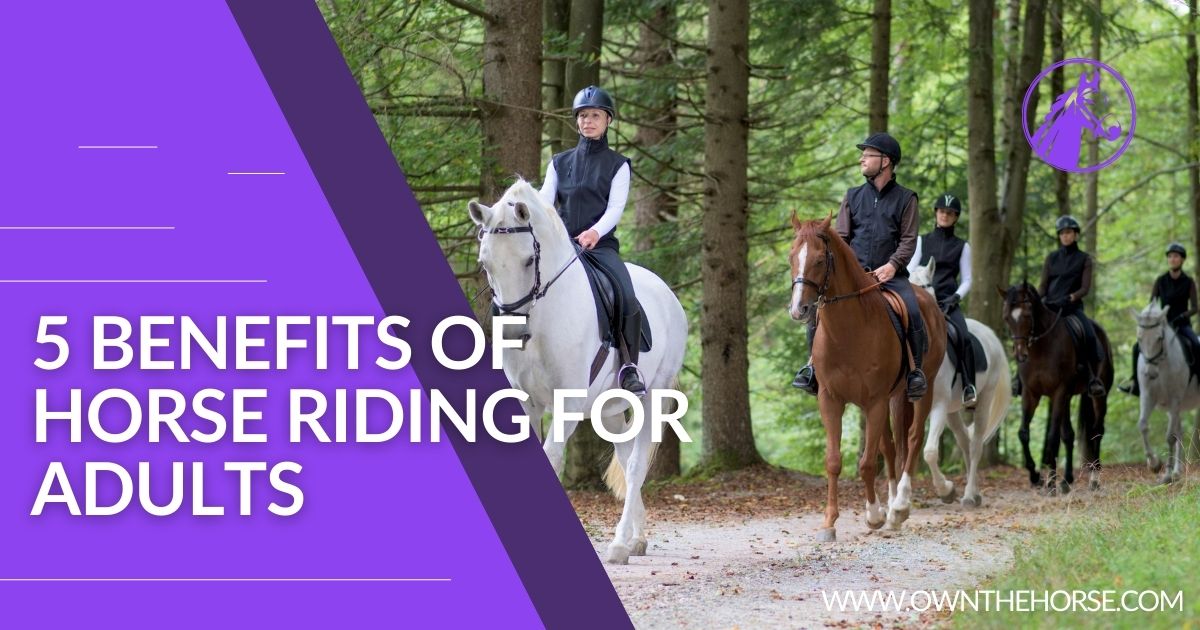 You are currently viewing 5 Benefits of Horse Riding for Adults