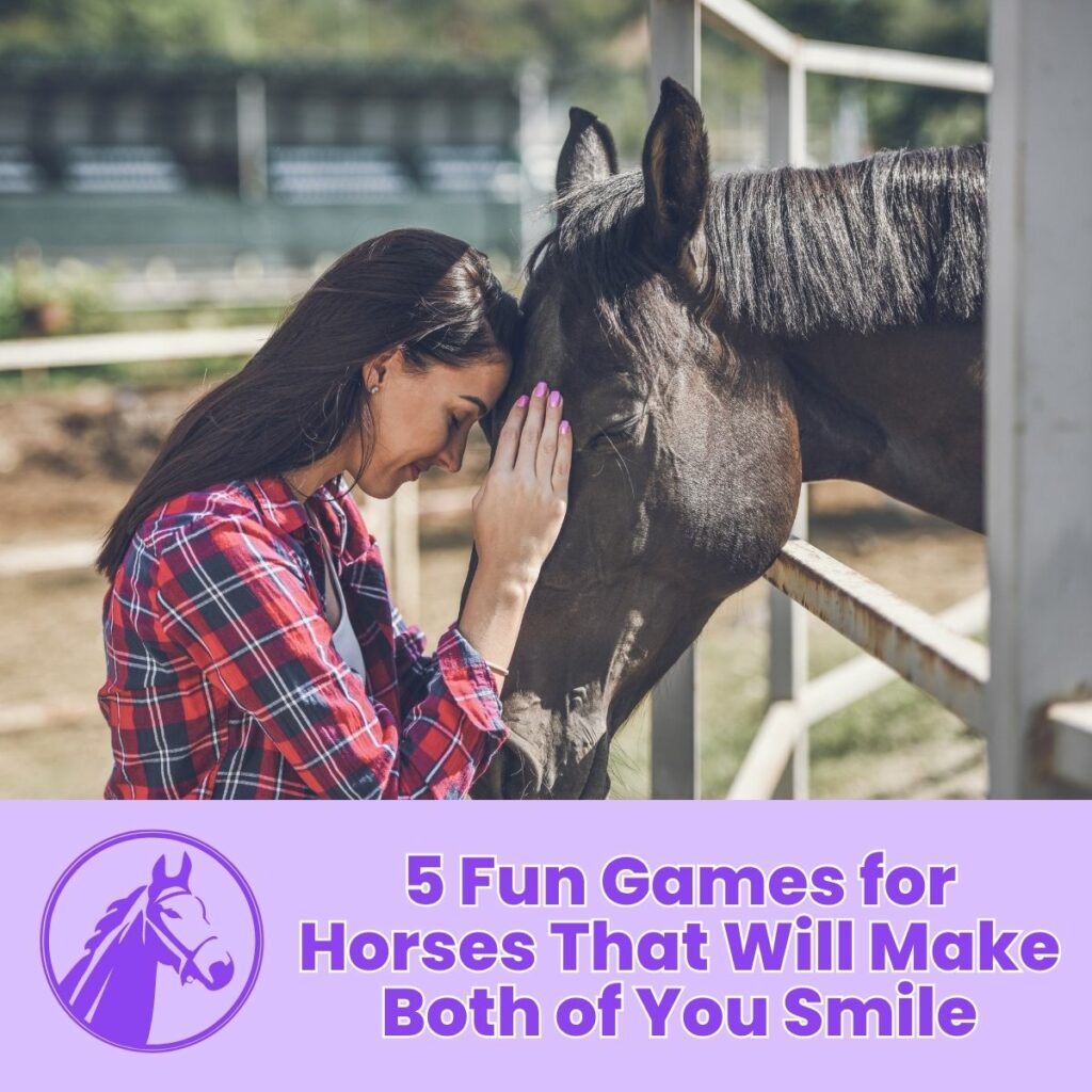 5 Fun Games for Horses That Will Make Both of You Smile