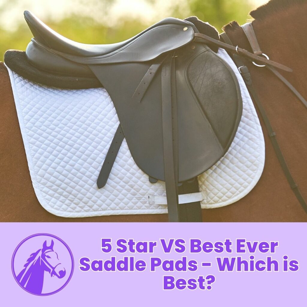 5 Star VS Best Ever Saddle Pads - Which is Best?