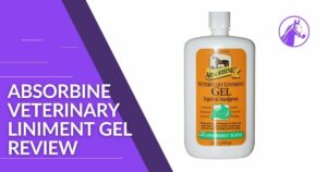 Read more about the article Absorbine Veterinary Liniment Gel Review