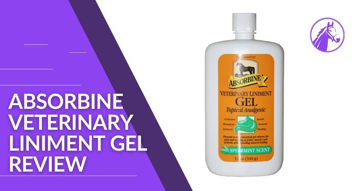 You are currently viewing Absorbine Veterinary Liniment Gel Review
