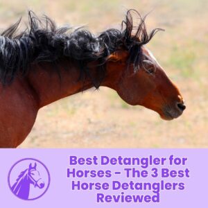 Read more about the article Best Detangler for Horses – The 3 Best Horse Detanglers Reviewed