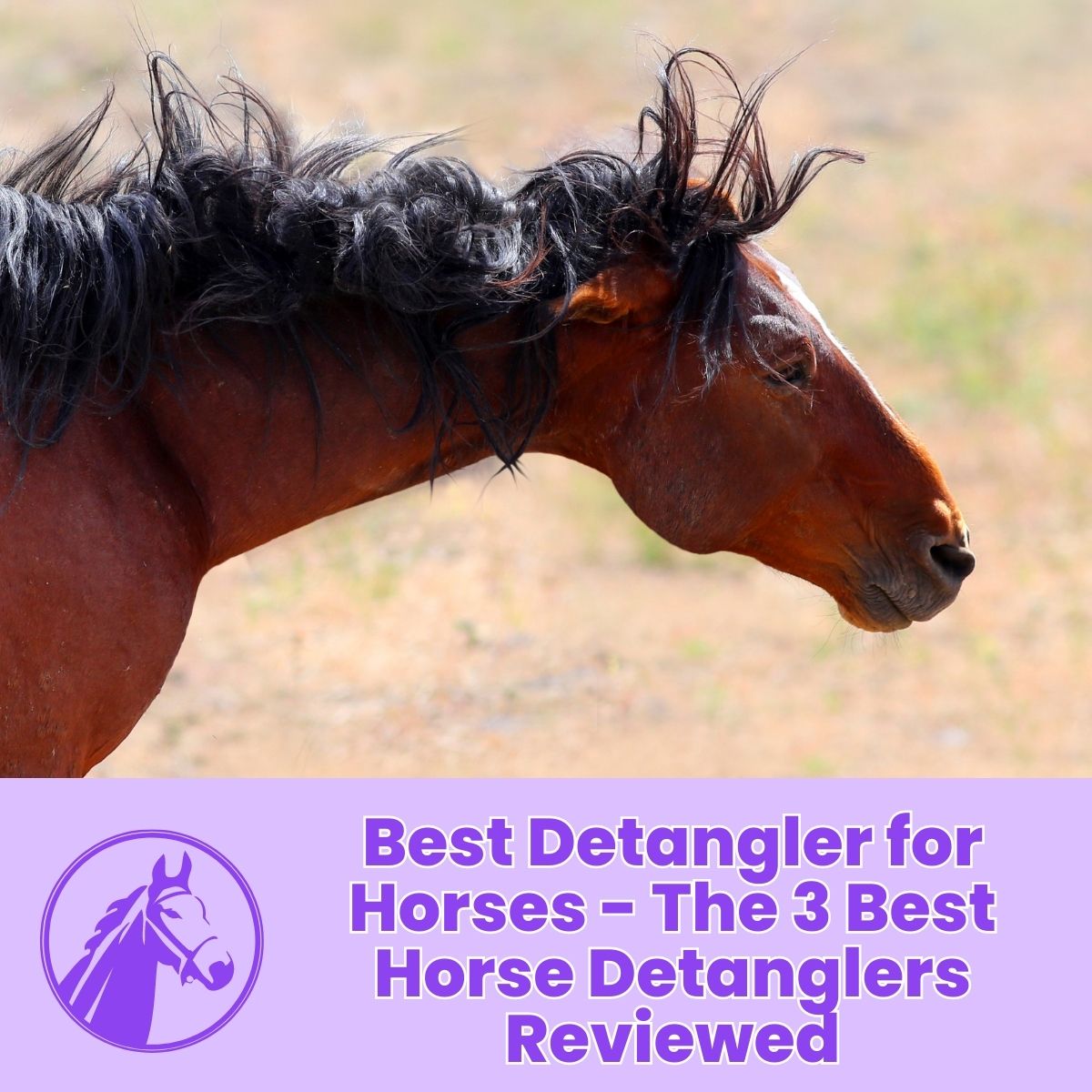 You are currently viewing Best Detangler for Horses – The 3 Best Horse Detanglers Reviewed
