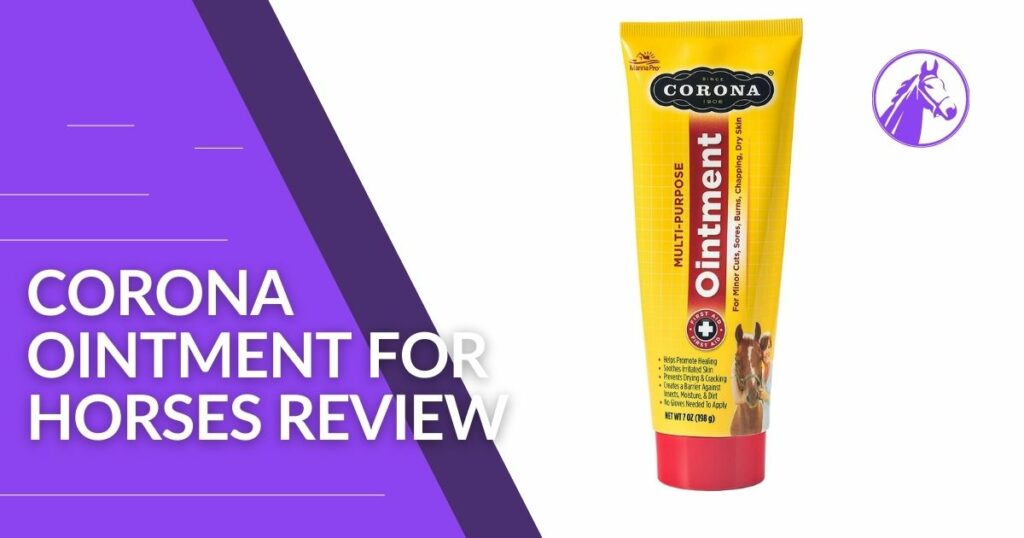 Corona Ointment for Horses Review