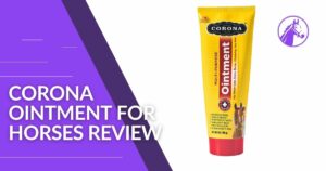 Read more about the article Corona Ointment for Horses Review
