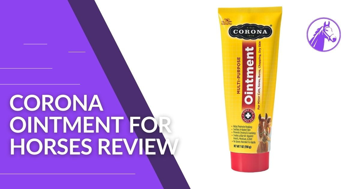 You are currently viewing Corona Ointment for Horses Review