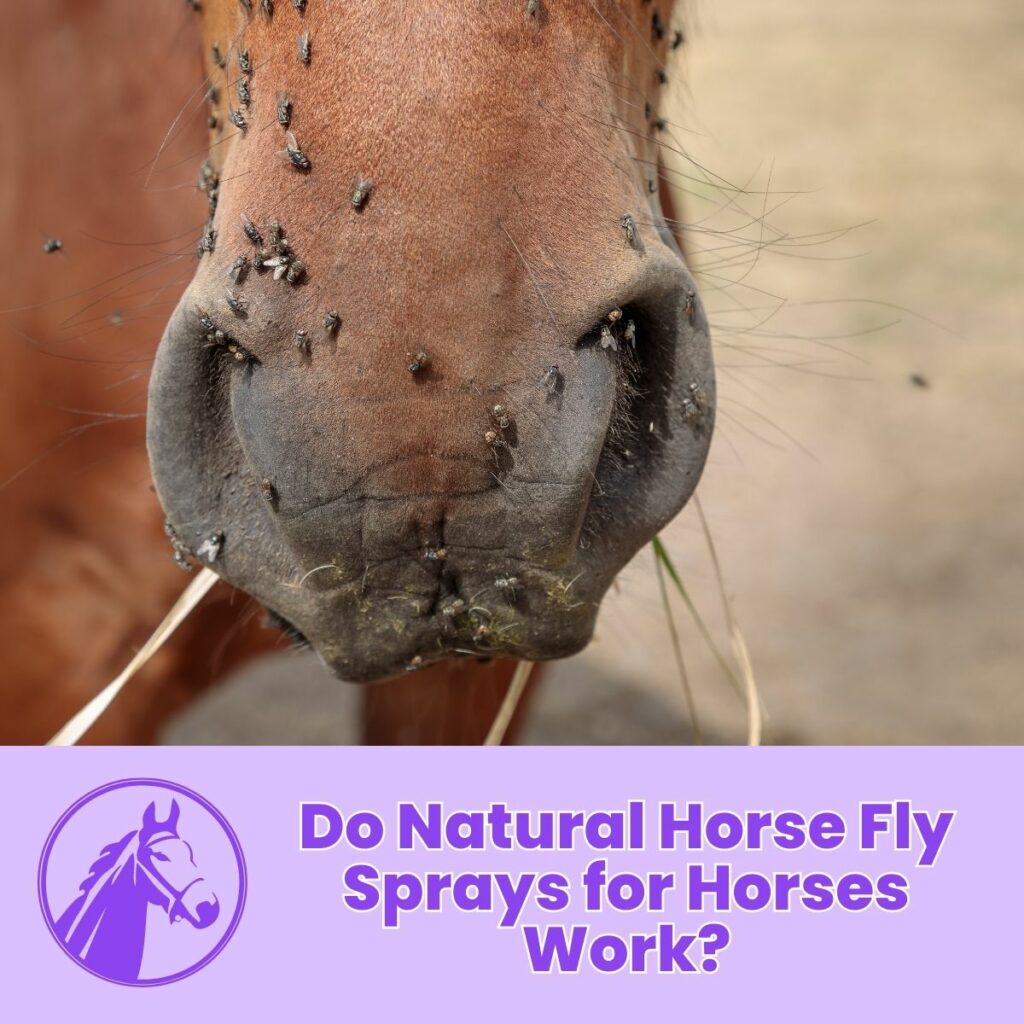Do-Natural-Horse-Fly-Sprays-for-Horses-Work