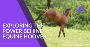 Read more about the article How Much Force Does a Horse Kick With? Exploring the Power Behind Equine Hooves