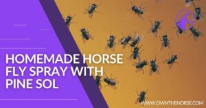 Read more about the article Homemade Horse Fly Spray With Pine Sol Recipe