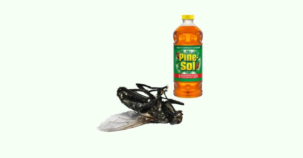 Homemade Horse Fly Spray With Pine Sol Recipe