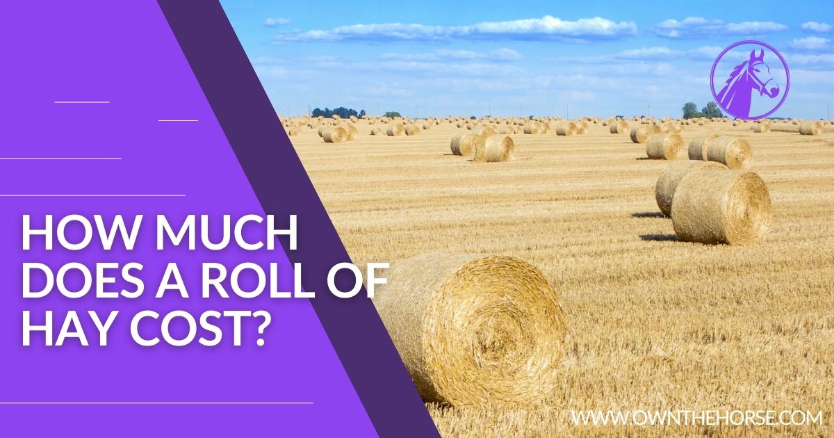 You are currently viewing How Much Does A Roll Of Hay Cost? 2023 Guide to Hay Pricing