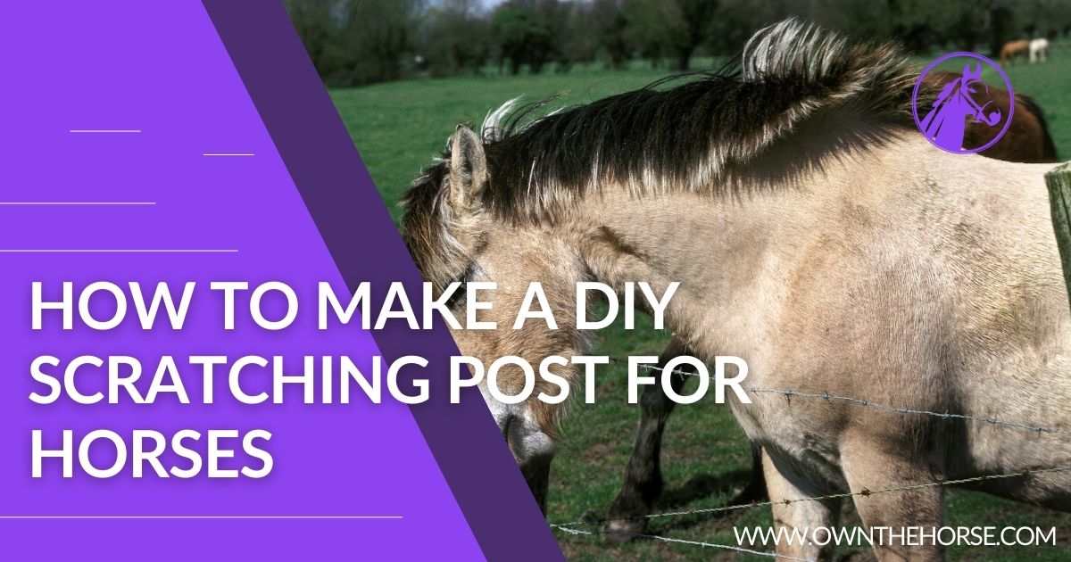 You are currently viewing How to Make a DIY Scratching Post for Horses