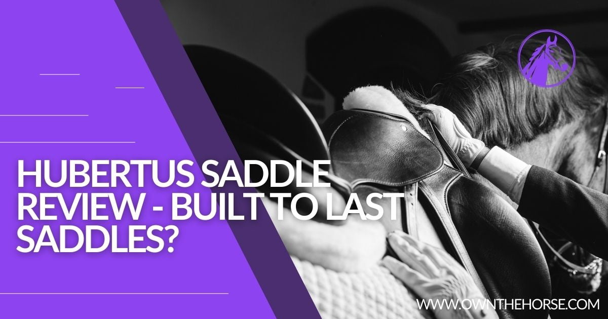 You are currently viewing Hubertus Saddle Review – Built to Last Saddles?