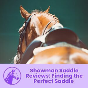 Read more about the article Showman Saddle Reviews: Finding the Perfect Saddle