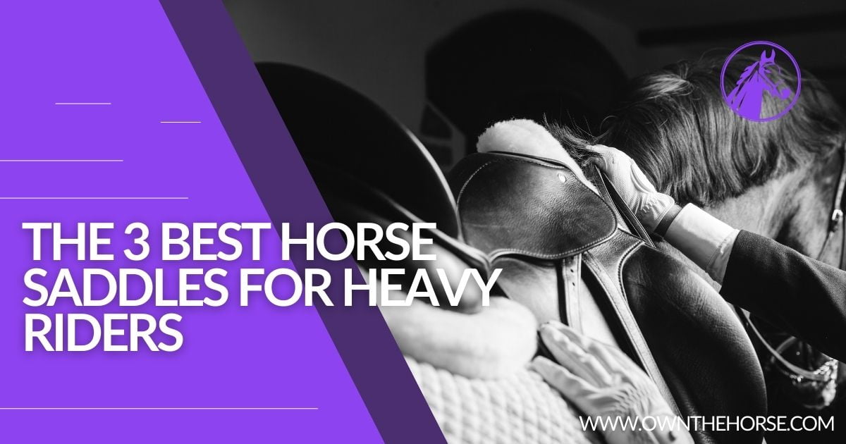 You are currently viewing The 3 Best Horse Saddles for Heavy Riders