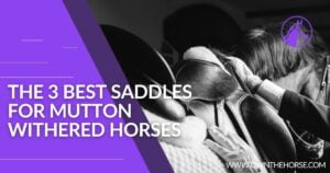 Read more about the article The 3 Best Saddles for Mutton Withered Horses