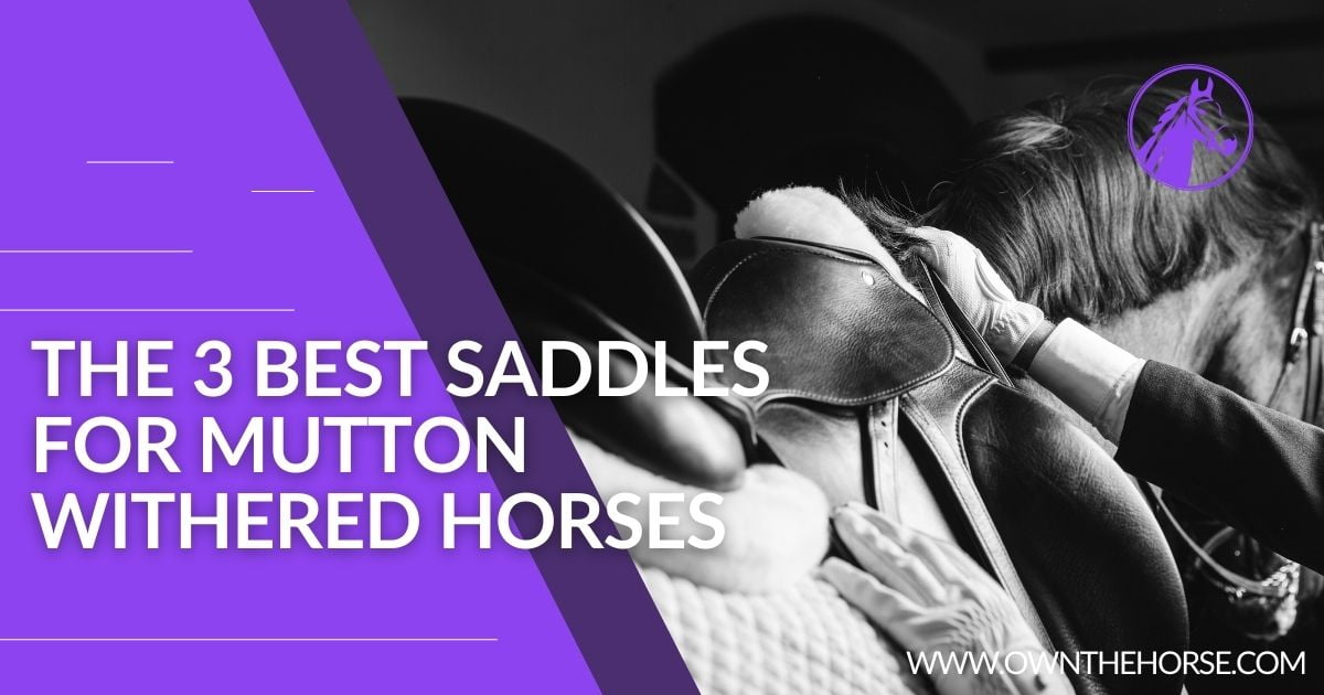 You are currently viewing The 3 Best Saddles for Mutton Withered Horses