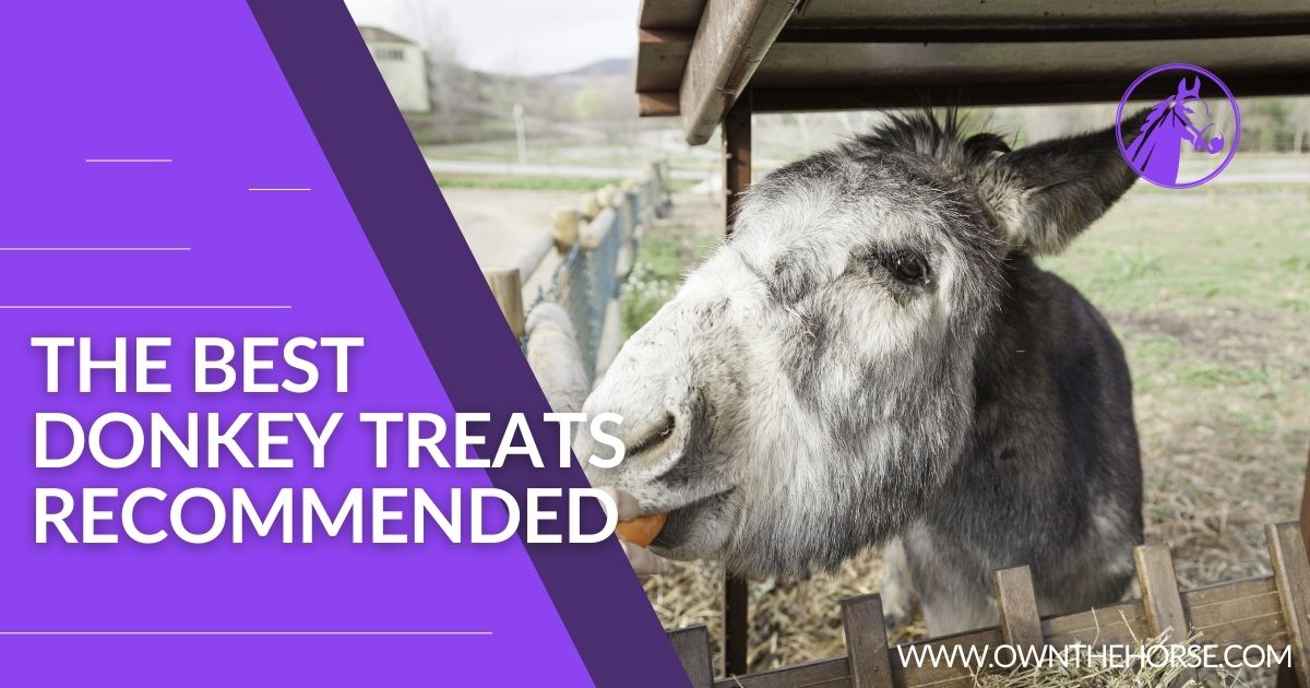 You are currently viewing The Best Donkey Treats: A Guide to Keeping Your Donkey Happy and Healthy