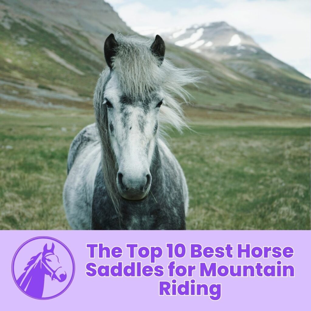 The Top 10 Best Horse Saddles for Mountain Riding
