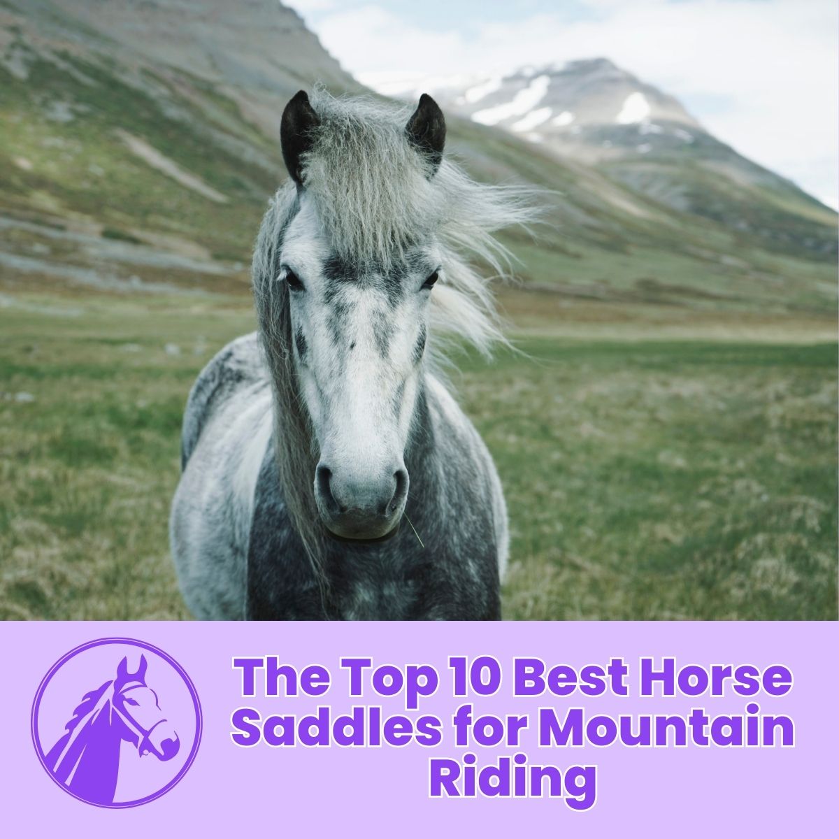 You are currently viewing The Top 10 Best Horse Saddles for Mountain Riding