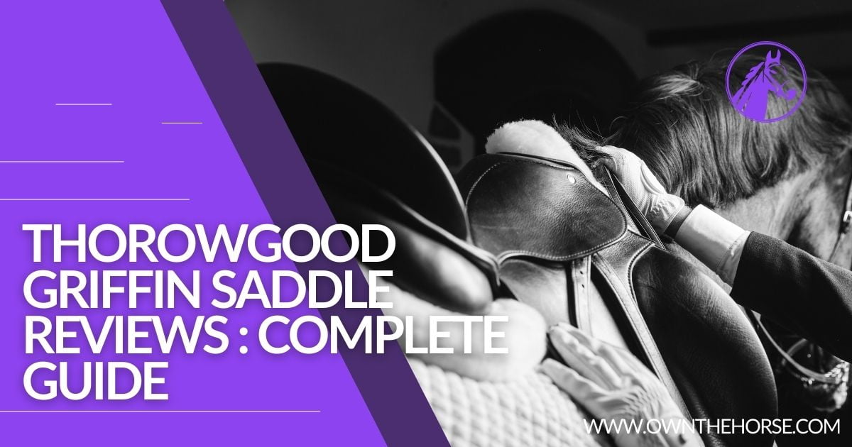 You are currently viewing Thorowgood Griffin Saddle Reviews : Complete Guide