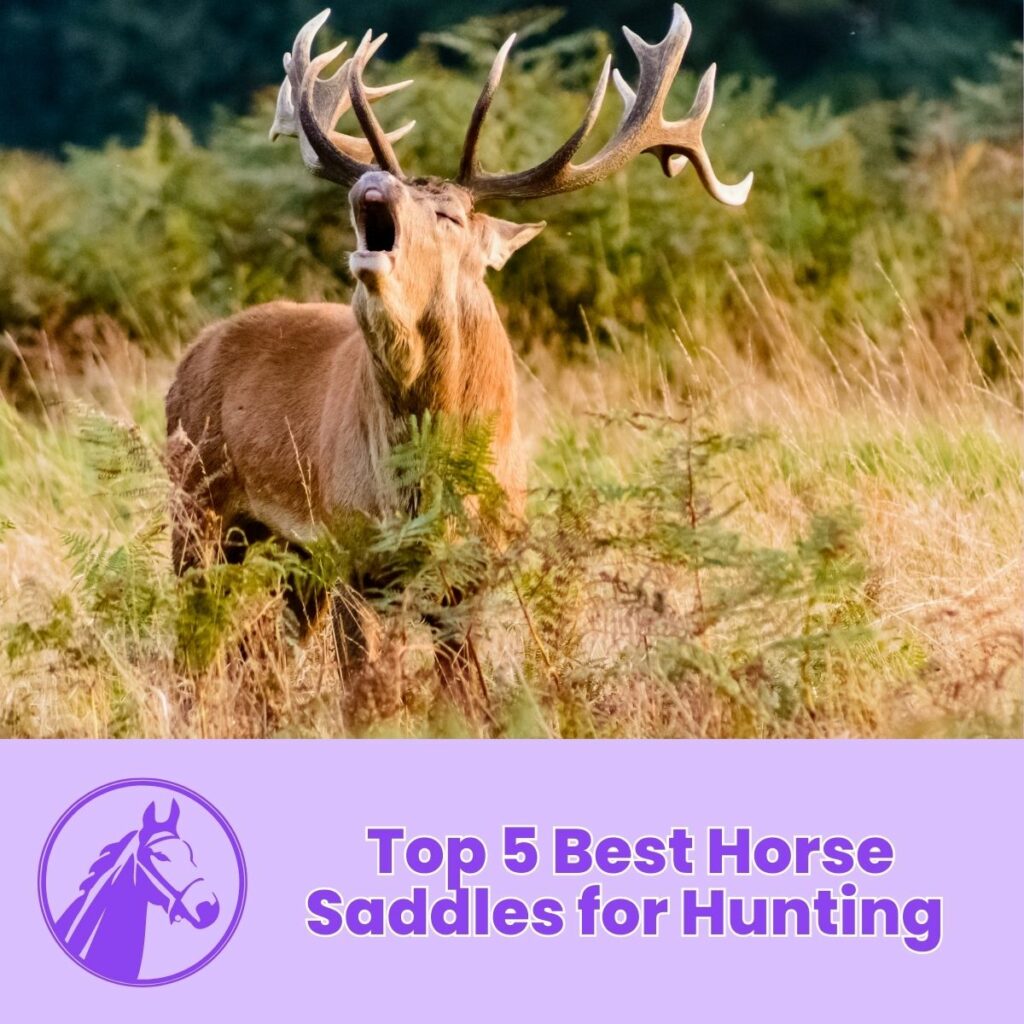 Top 5 Best Horse Saddles for Hunting