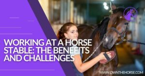 Read more about the article Working at a Horse Stable: The Benefits and Challenges