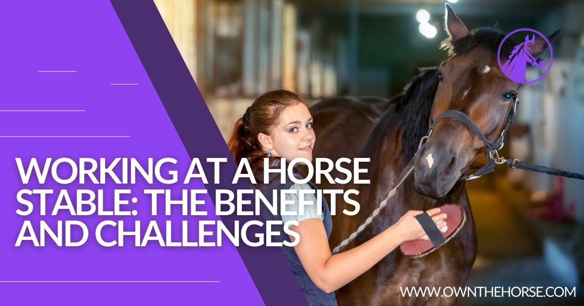 You are currently viewing Working at a Horse Stable: The Benefits and Challenges