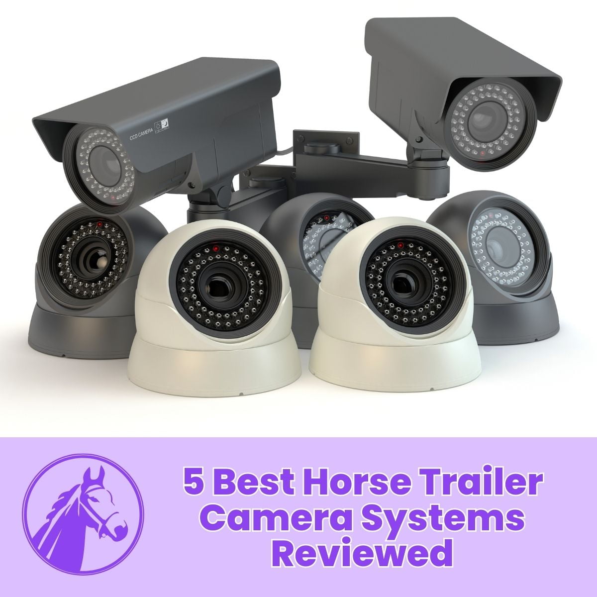 You are currently viewing 5 Best Horse Trailer Camera Systems Reviewed