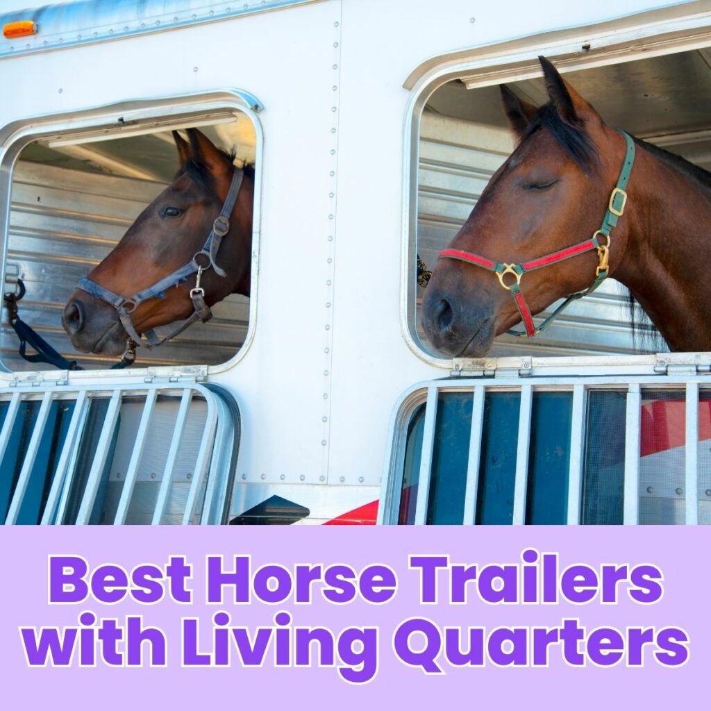 Best Horse Trailers with Living Quarters