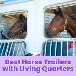 Read more about the article Best Horse Trailers with Living Quarters