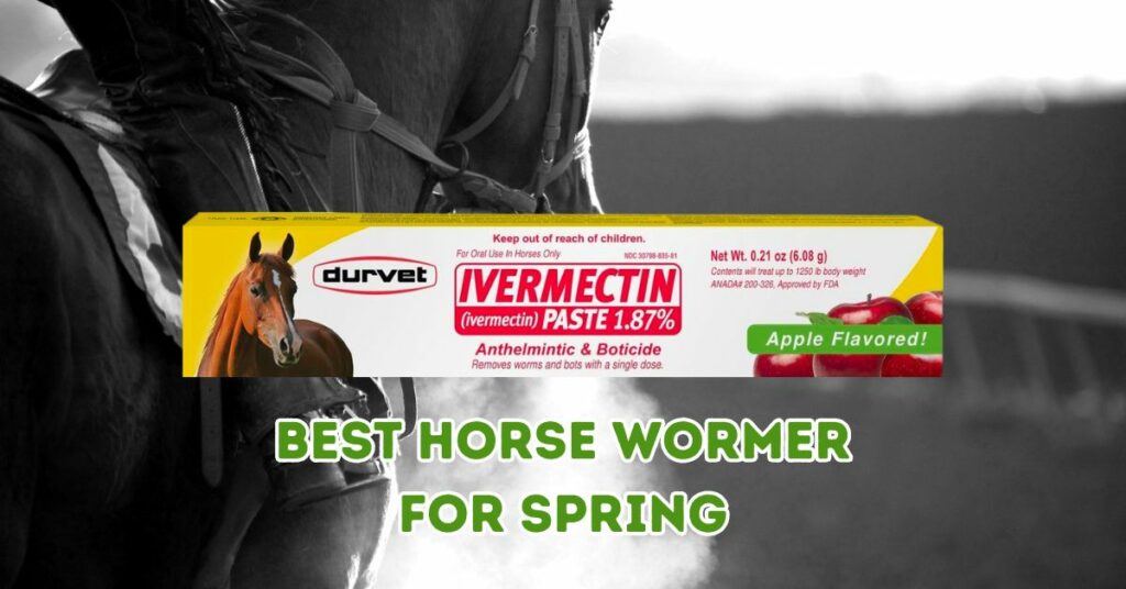 Best Horse Wormer for Spring