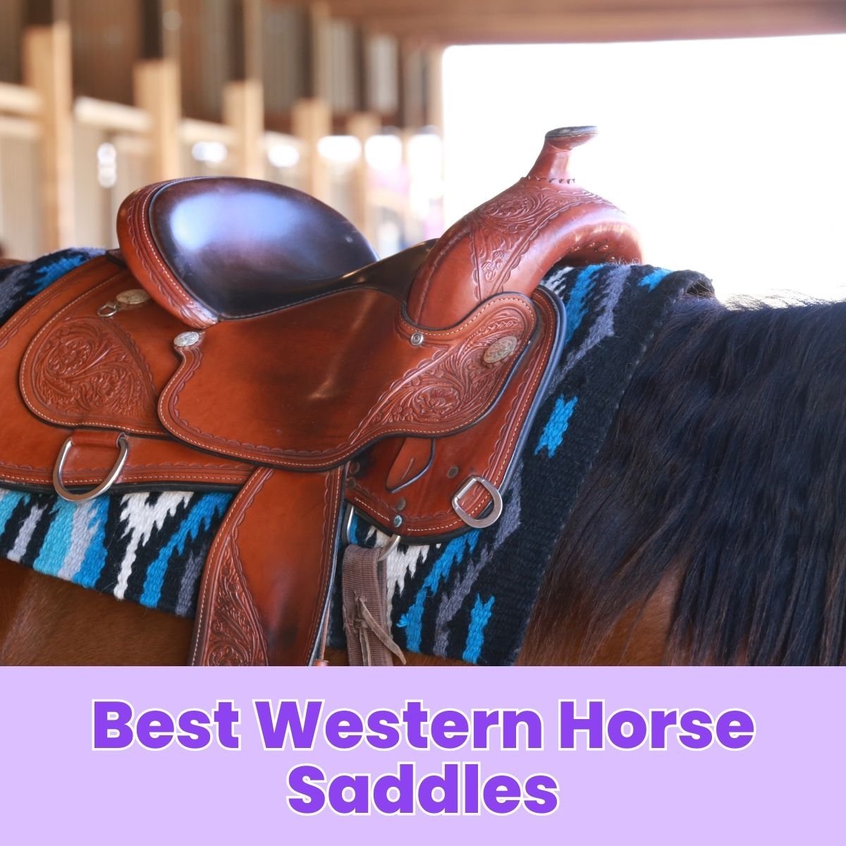 You are currently viewing Best Western Horse Saddles: Top Picks for Comfort and Durability