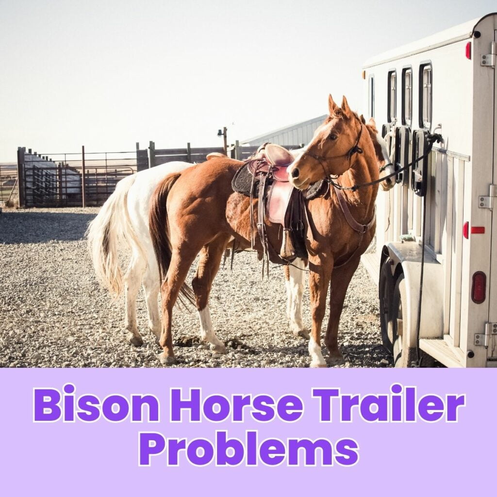 Bison Horse Trailer Problems