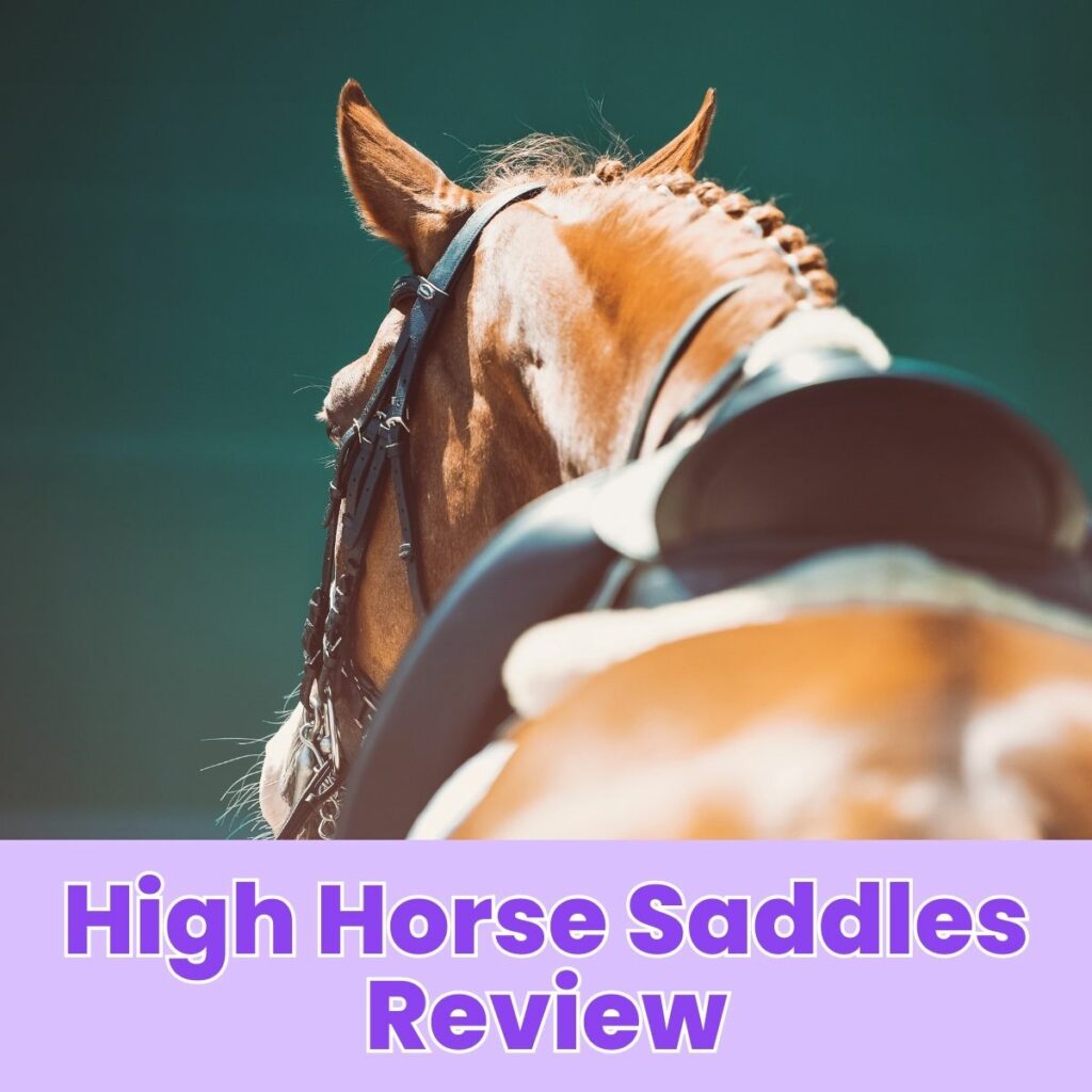High-Horse-Saddles-Review