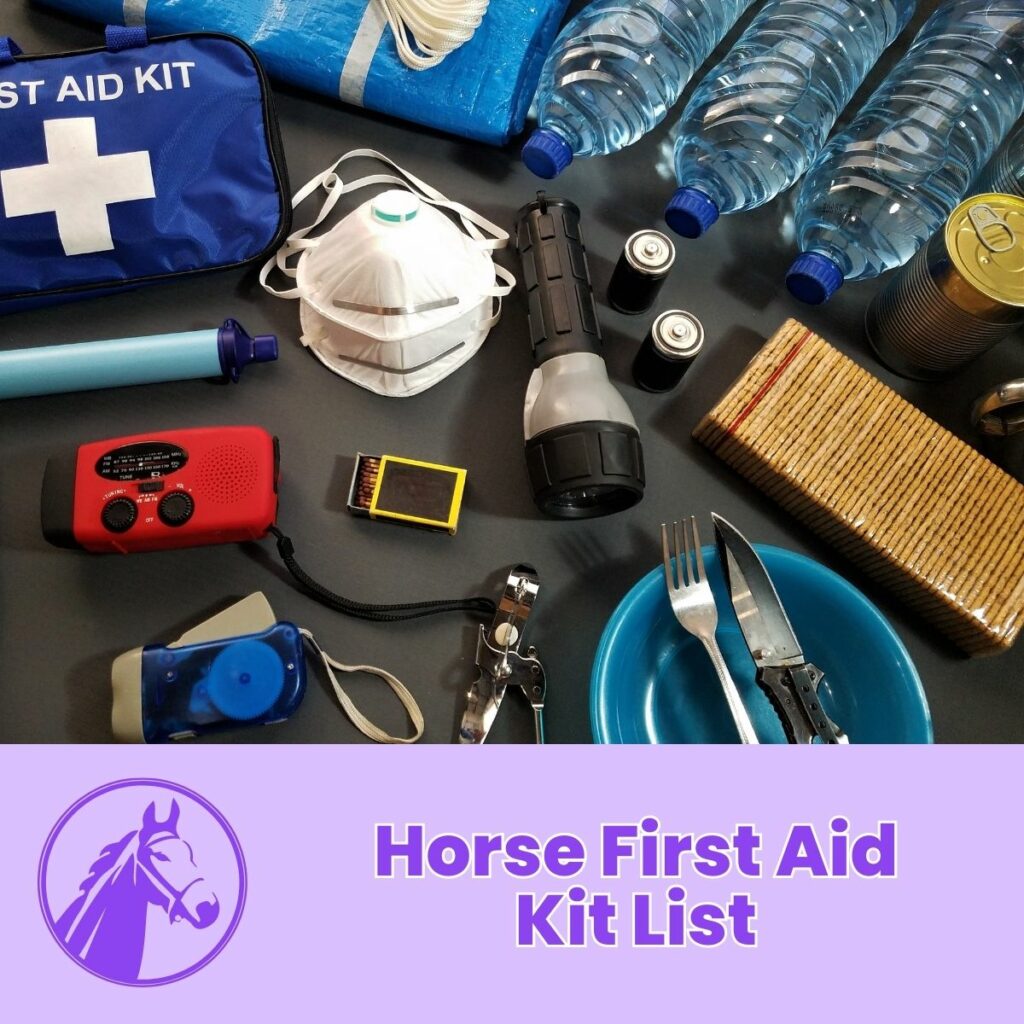 Horse First Aid Kit List