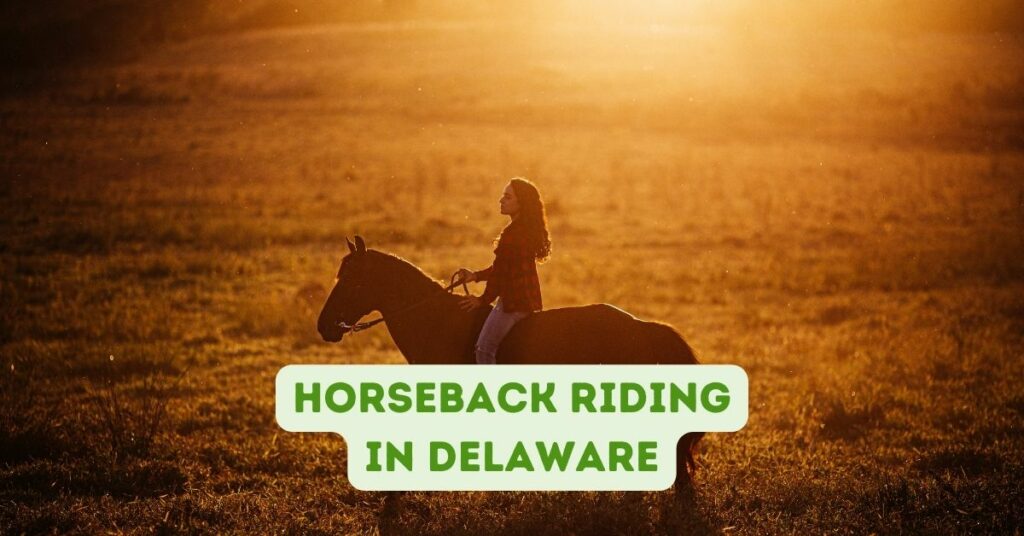 Horseback Riding in Delaware