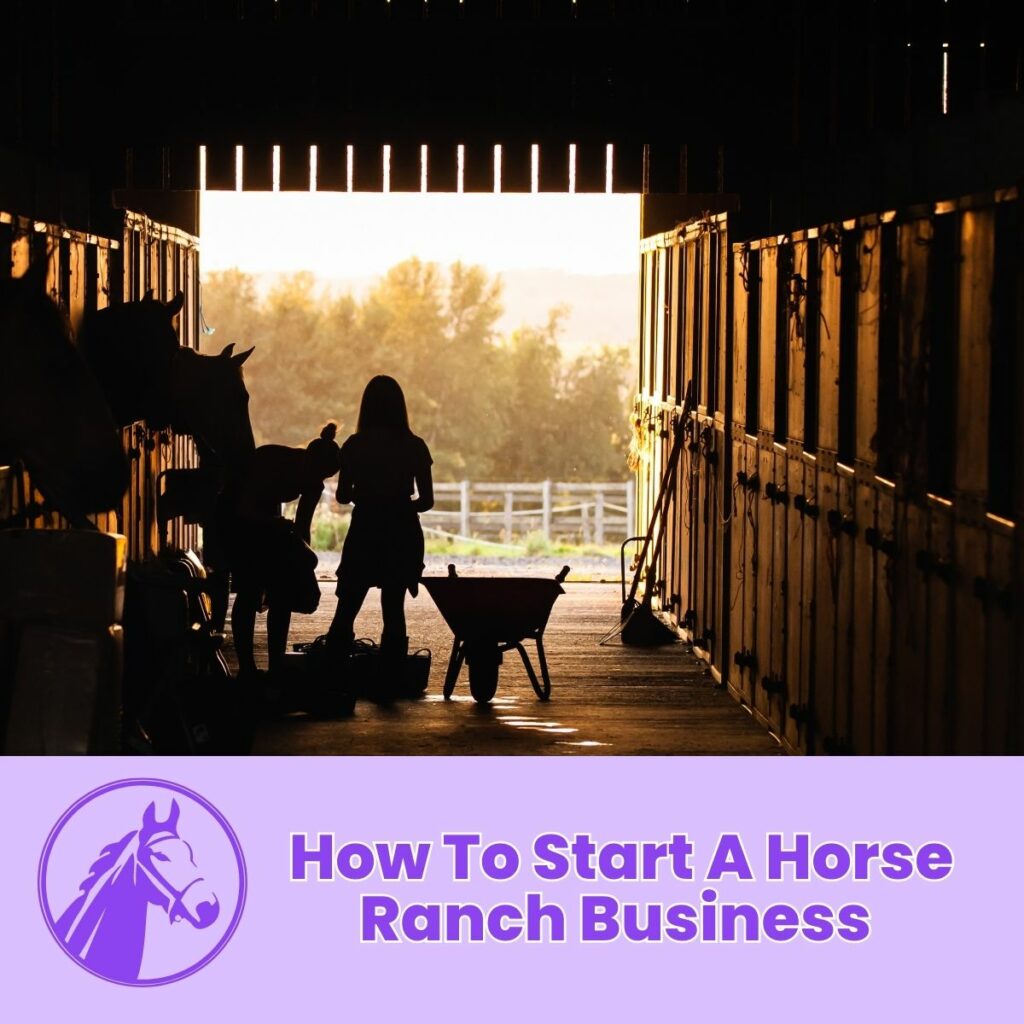 How To Start A Horse Ranch Business