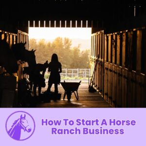Read more about the article How to Start a Horse Ranch Business