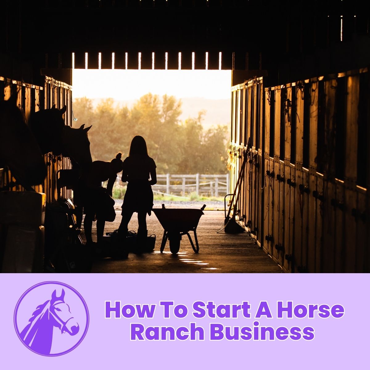 horse ranch business plan