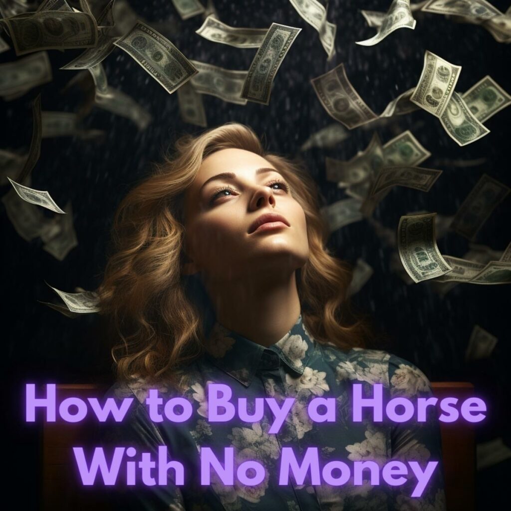 How to Buy a Horse With No Money