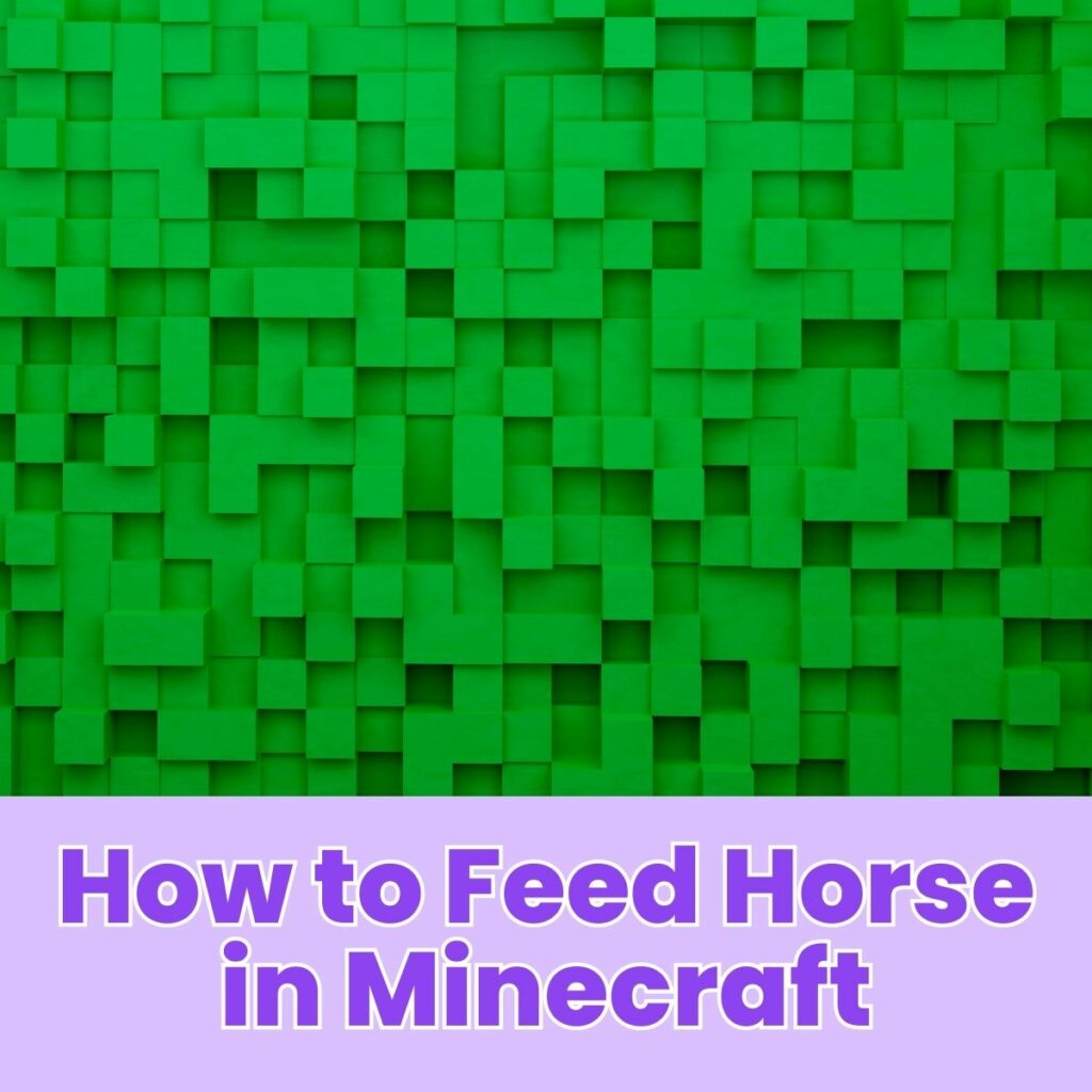 How to Feed Horse in Minecraft