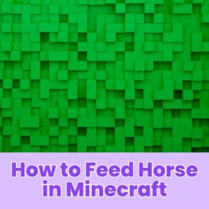 Read more about the article How to Feed Horse in Minecraft