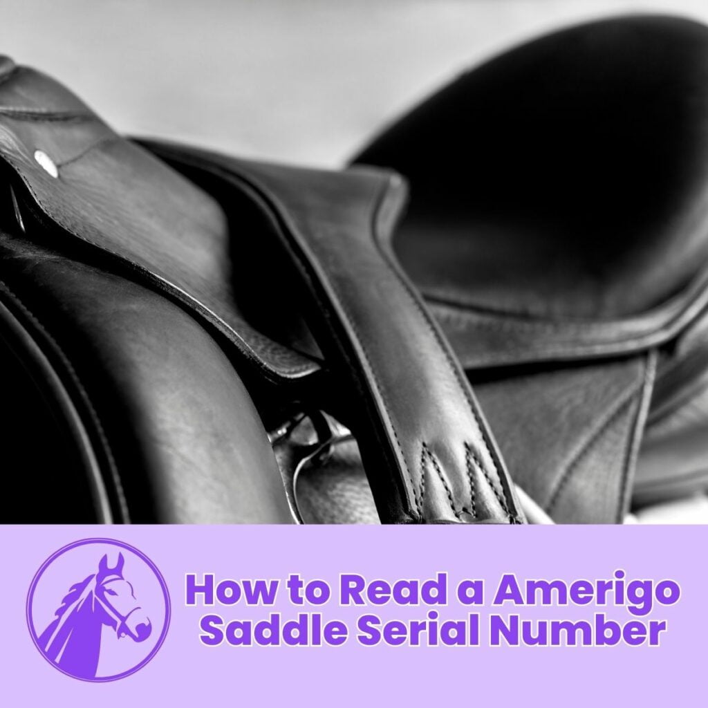 Amerigo Saddle Serial Number