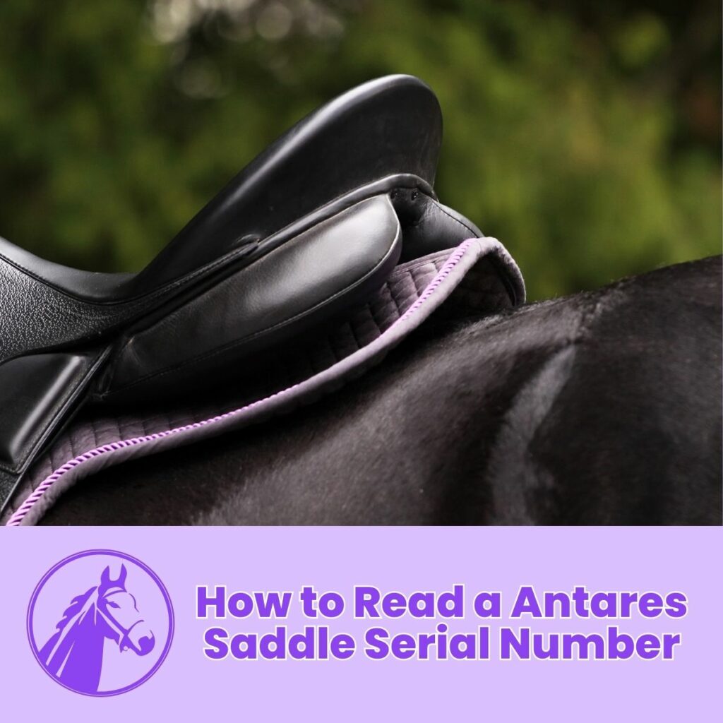How to Read a Antares Saddle Serial Number