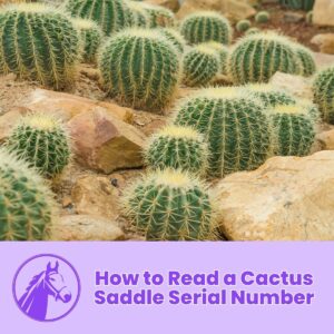 Read more about the article How to Read a Cactus Saddle Serial Number