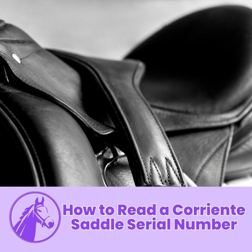 How to Read a Corriente Saddle Serial Number