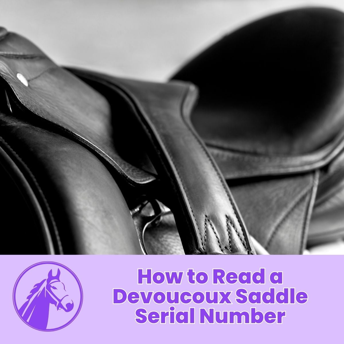 You are currently viewing How to Read a Devoucoux Saddle Serial Number