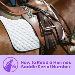 Read more about the article How to Read a Hermes Saddle Serial Number